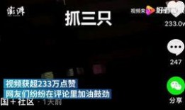 香港义工爆料视频下载,现场实况引发社会关注