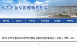 泰安最新爆料消息,揭秘背后惊人真相，事件进展引发热议