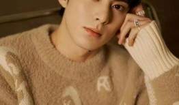 王鹤棣爆料东风视频,王鹤棣揭秘东风视频幕后故事