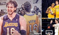 珠江体育直播在线观看,畅享精彩赛事，一键在线观看