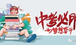 深圳空少爆料最新消息,揭秘航班内幕与行业真相