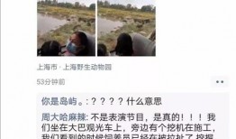 湖北襄樊市爆料事件视频,视频揭露惊人真相