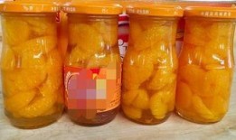 桔子罐头爆料视频大全下载,揭秘幕后真相与精彩瞬间