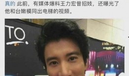 最近爆料王力宏视频播放,揭秘背后真相与影响
