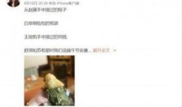 网友爆料粽子视频,揭秘传统美食背后的秘密