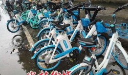 容桂电动车爆料事件最新,揭秘背后真相与行业乱象