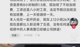 蓝厂高管爆料事件视频,揭秘企业内部真相