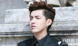 圈内小料爆料李易峰,圈内小料揭秘，明星背后的故事与真相