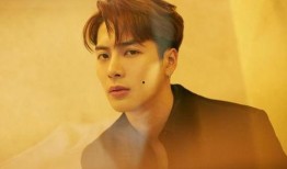 爆料王嘉尔娱乐圈,揭秘明星背后的故事与真相