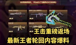 王者之击爆料视频,揭秘神秘爆料视频背后的精彩内容