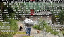 老鼠兄弟最新爆料视频,揭秘娱乐圈惊人内幕！