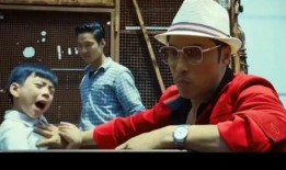 爆料花园宝宝视频大全集,重温童年奇幻之旅，经典动画全集回顾