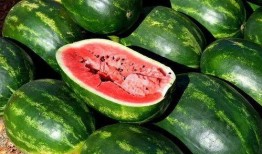 快乐网红吃瓜图片大全,快乐美食图鉴