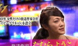 娱乐圈爆料音频大全最新,揭秘明星幕后真相，独家揭秘不为人知的故事