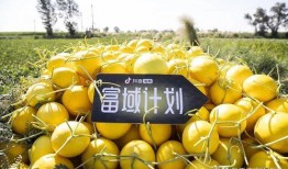 抖音网红韵儿吃瓜,揭秘娱乐圈幕后故事