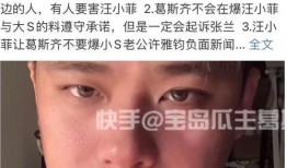 谁爆料汪小菲的录音视频