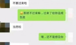 免费吃瓜聊天记录合集下载,揭秘网络社交背后的趣味与真相
