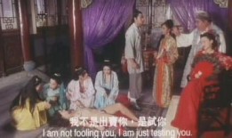 青楼十二房在线观看,揭秘古代青楼生活传奇