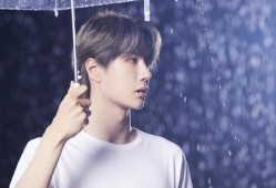 王一博微博最新爆料,揭秘神秘项目背后的故事