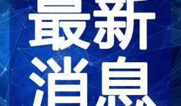 上海小胖娃爆料视频最新,揭秘城市生活背后真相