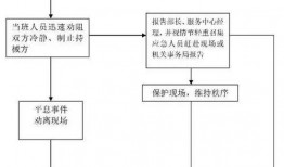 爆料视频投放流程图,一图掌握关键步骤