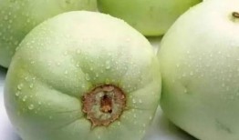 qq网红吃瓜猛料黄料,QQ网红吃瓜猛料，黄料事件引发热议