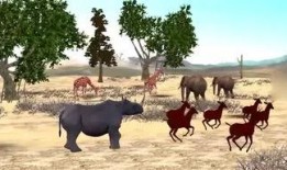 转转小鹅爆料视频,揭秘热门视频背后的精彩故事