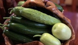 康县网红 吃瓜视频,揭秘网络热点背后的故事