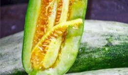 康县网红 吃瓜视频,揭秘网络热点背后的故事