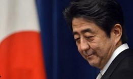 爆料日本首相视频大全下载,下载与解读