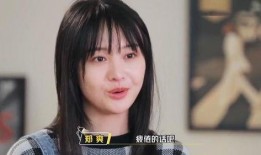 郑爽圈内被爆料,娱乐圈爆料背后的真相与反思