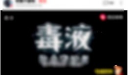 雨果热点爆料视频在哪看,独家观看指南