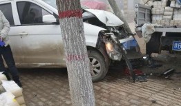 杞县付集车祸最新爆料消息,悲剧现场细节披露，伤亡情况引关注