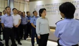 浙江富商考察团爆料视频,独家爆料视频深度解析