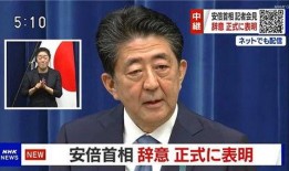 爆料日本首相视频大全下载,下载与解读