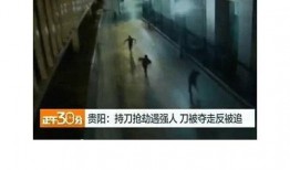 哈尔滨爆料冰花事件视频,哈尔滨寒冷冬日里的温暖故事