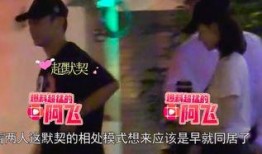 郑恺收入爆料视频最新,最新爆料视频揭示惊人收入真相