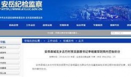 资阳市新闻爆料,最新爆料揭示事件真相