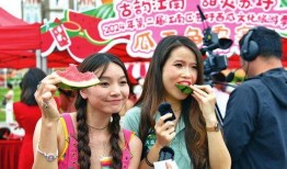 吃瓜大王全集免费观看,揭秘娱乐圈幕后真相，免费观看大揭秘！