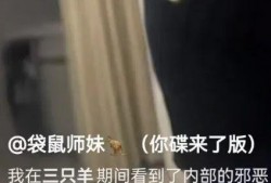 推特前女高管爆料视频播放