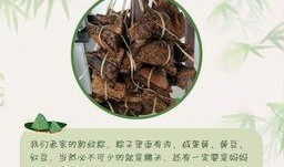 网友爆料粽子视频,揭秘传统美食背后的秘密