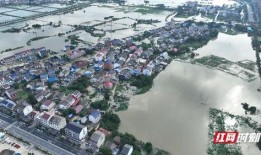 汨罗最新爆料,揭秘背后惊人真相