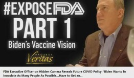 拜登新冠最新爆料视频,真相与阴谋的交织