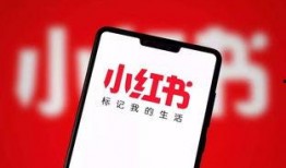 小红书爆料网红事件视频,揭秘小红书热门爆料背后的真相