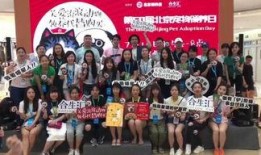 香港义工爆料视频下载,现场实况引发社会关注