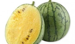 qq网红吃瓜猛料黄料,QQ网红吃瓜猛料，黄料事件引发热议