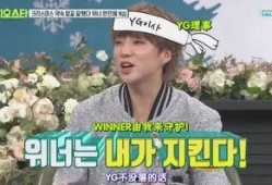 社长最新爆料新闻,最新爆料新闻背后的惊人真相