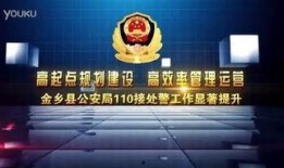 天网栏目在线观看2016,回顾年度网络安全事件与防范策略