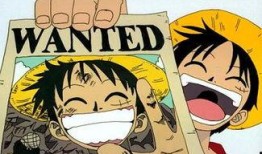 路飞爆料身世视频合集,揭秘海贼王世界的惊天秘密