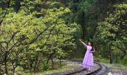 风景哥爆料作品大全视频,探寻自然之美，尽收眼底